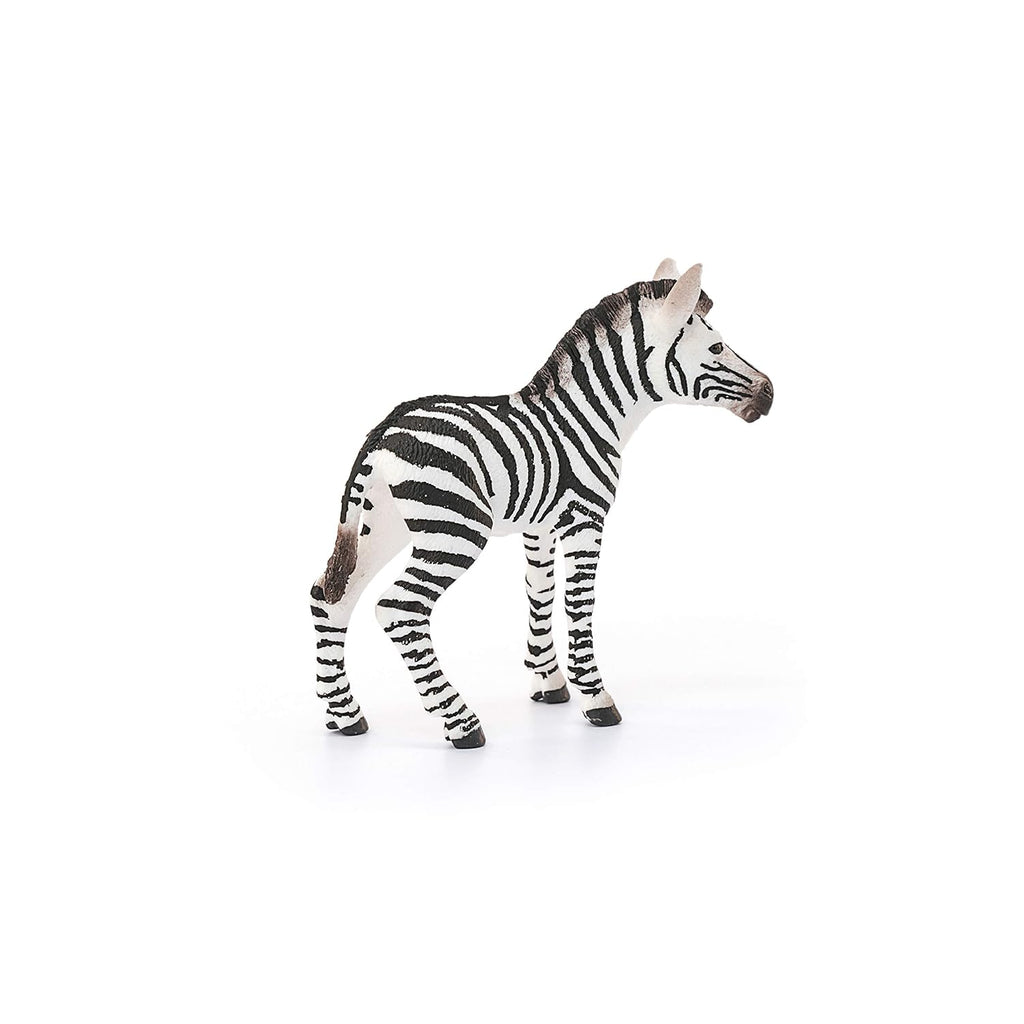 14811 Schleich Zebra Foal (7cm Tall)