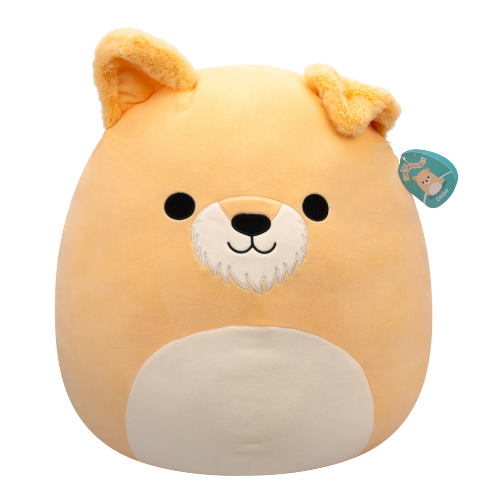 Squishmallows 5 Inch Plush Asst Each (Wave 22)