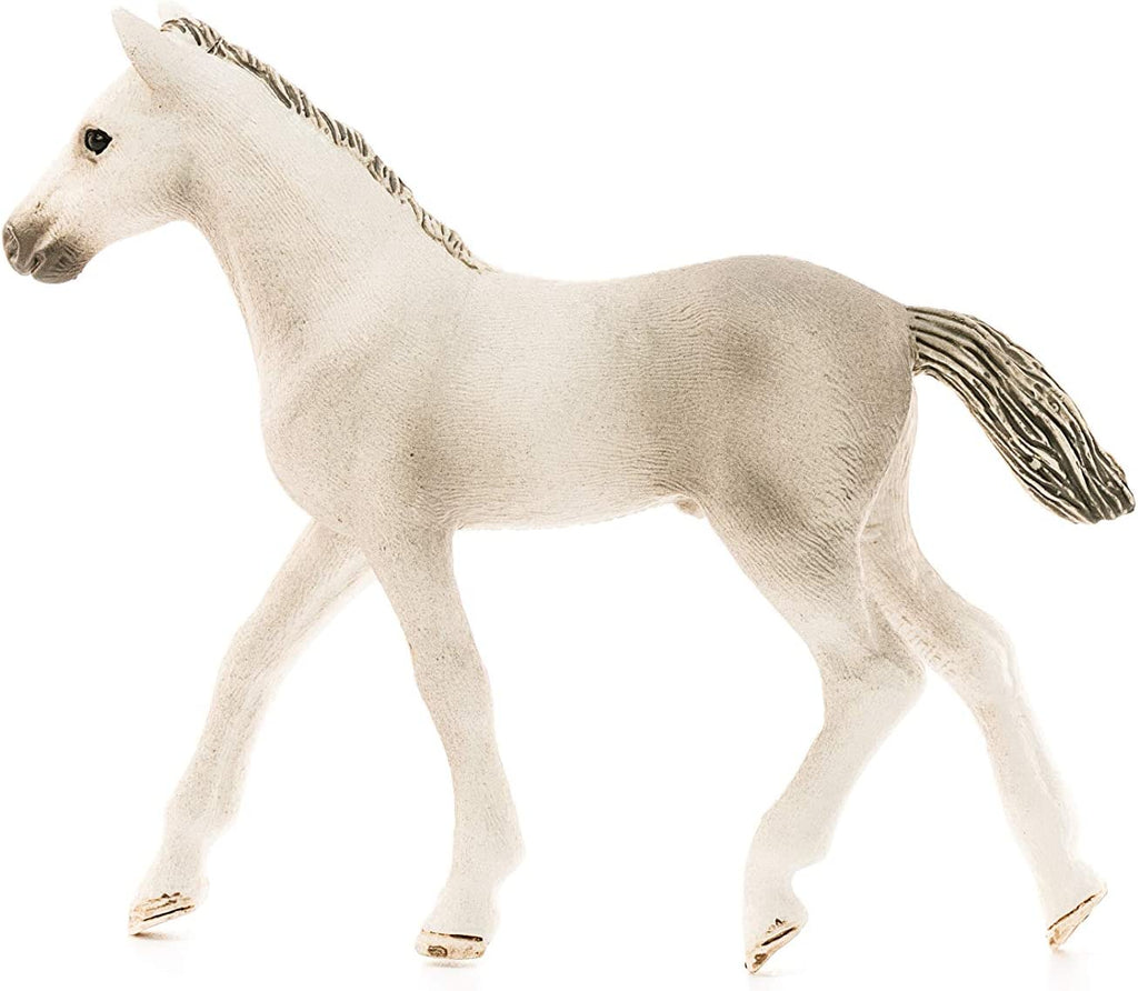 13860 Schleich Holsteiner Foal (7.8cm Tall)