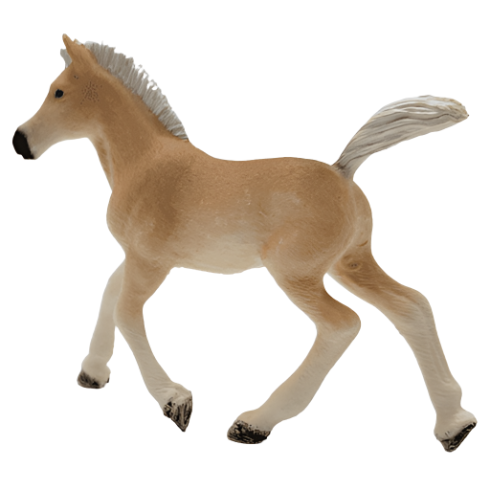 13951 Schleich Haflinger Foal (7.4cm Tall)