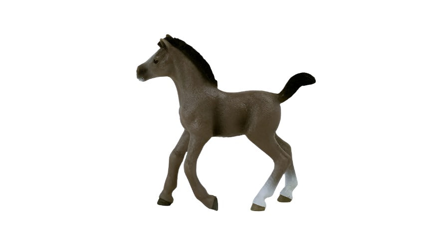 13957 Schleich Selle Francais Foal (8.3cm Tall)