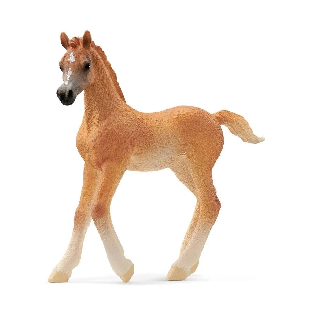 13984 Schleich Arabian Foal