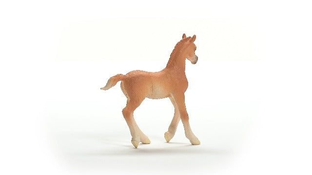 13984 Schleich Arabian Foal