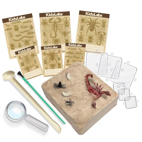 4M Creepy Crawly Digging Kit