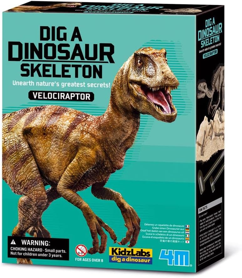 4m Dig a Dinosaur Skeleton Velociraptor