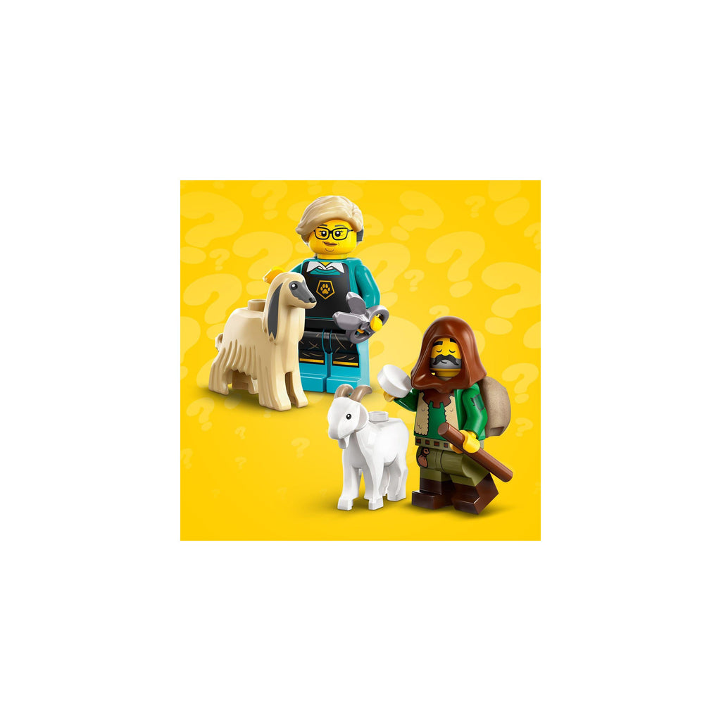 LEGO® Minifigures Series 25 Limited-Edition (1 of 12 to Collect) 71045