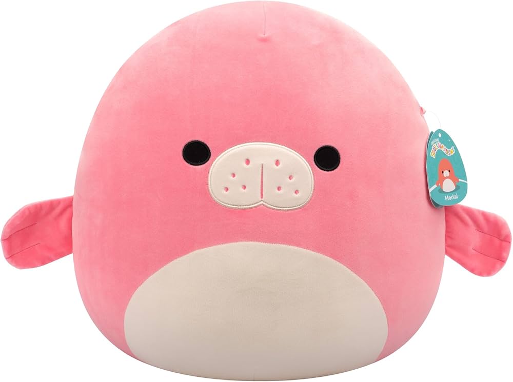 Squishmallows 5 Inch Plush Asst Each (Wave 22)