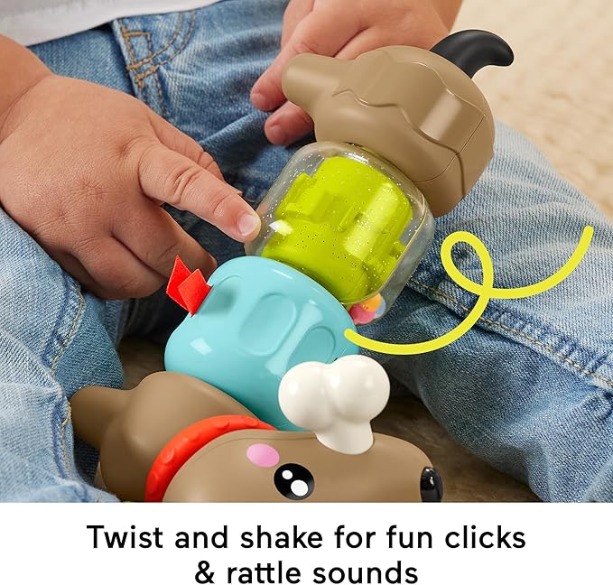 Fisher Price Click n Spin Activity Pup