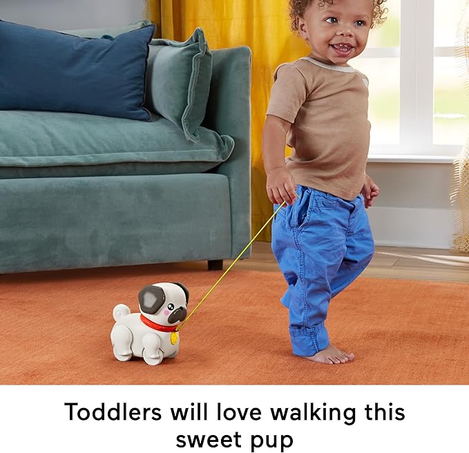 Fisher Price Walk the Pup Pug