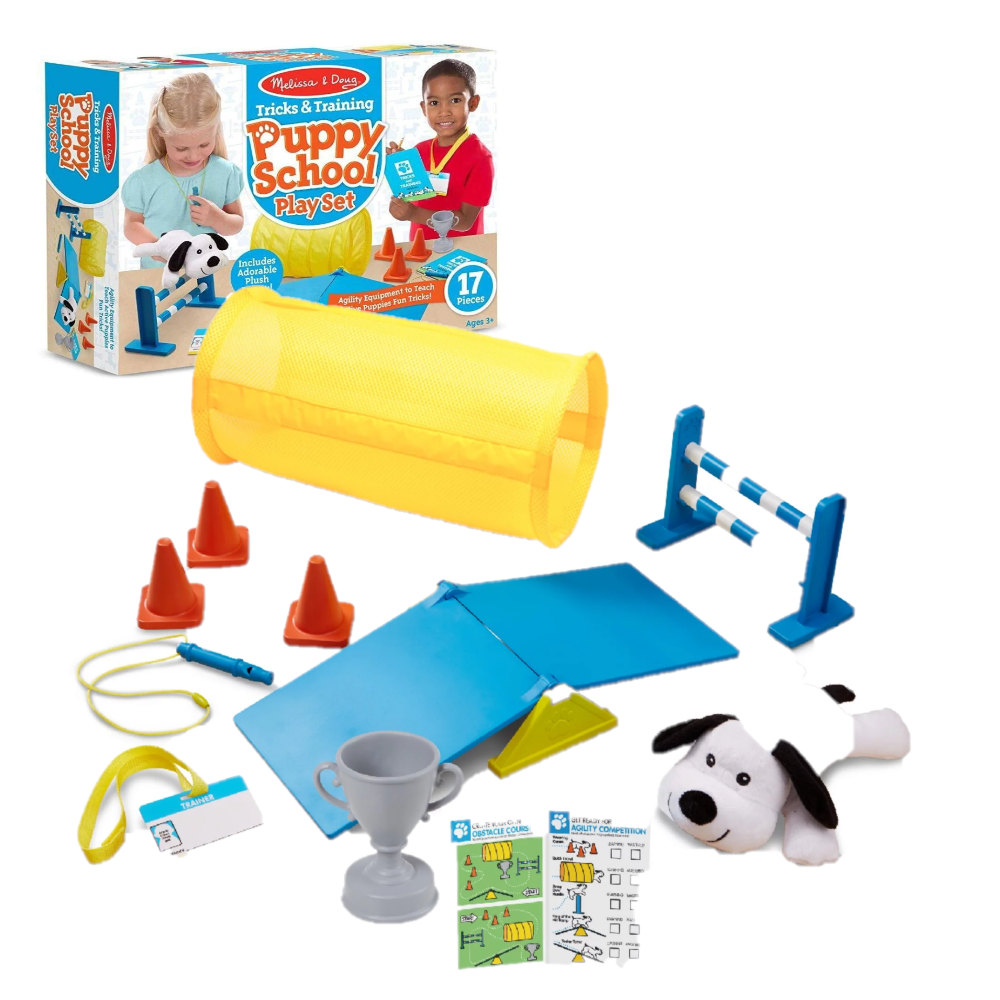 Melissa and deals doug school set