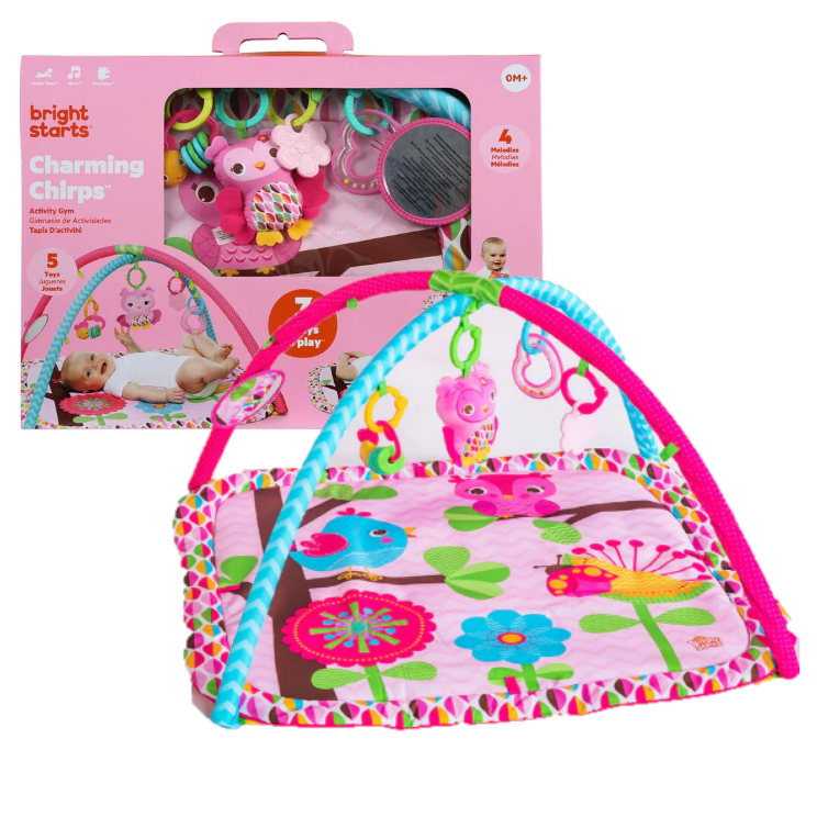 Charming chirps top activity gym