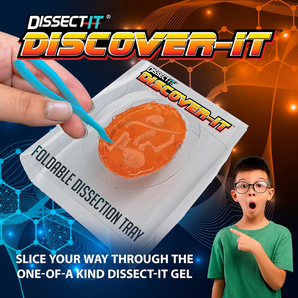 Dissect-It Discover-It Synthetic Owl Pellet Lab