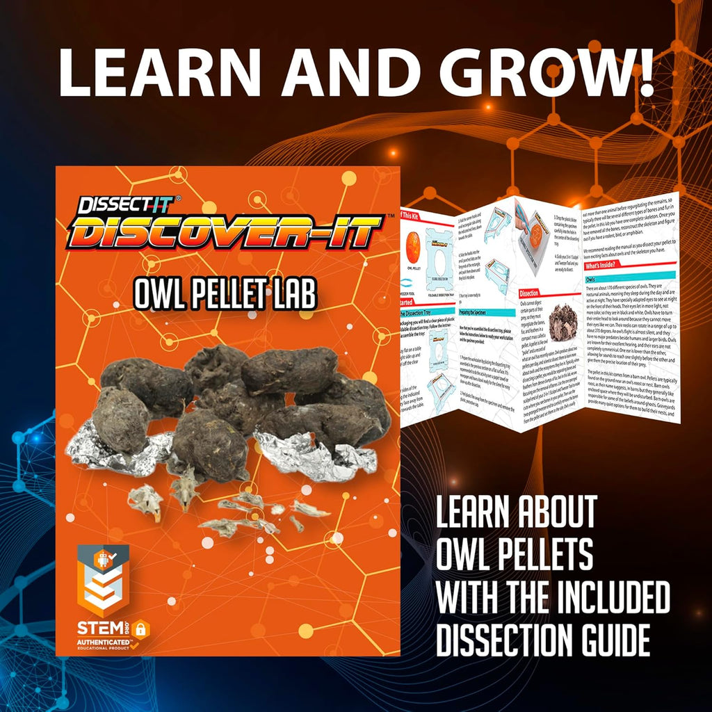 Dissect-It Discover-It Synthetic Owl Pellet Lab