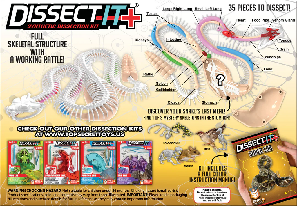 Dissect-It Synthetic Dissection Kit - Rattlesnake