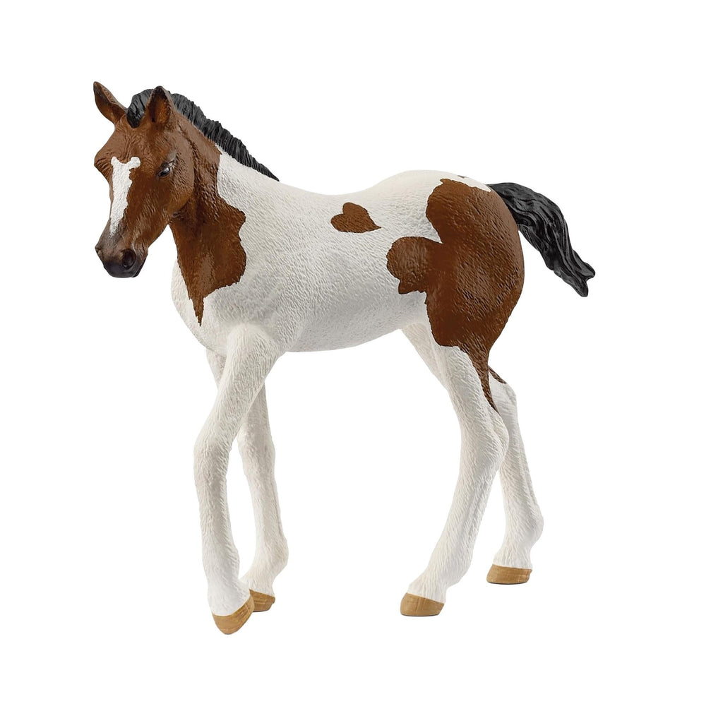 14899 Schleich Horse Club - Paint Horse Foal Figurine (7.3cm Tall)