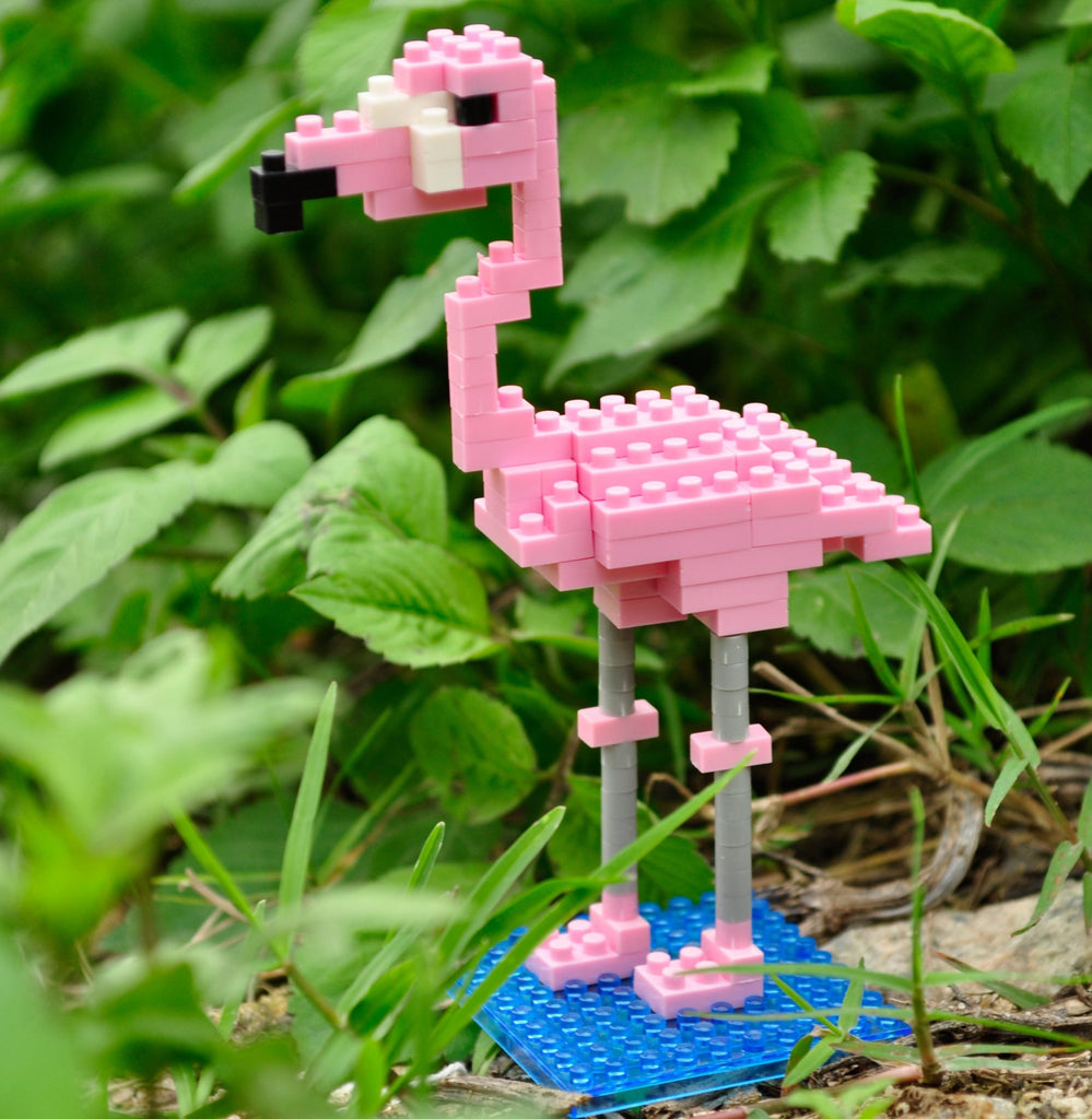 Wisehawk Flamingo