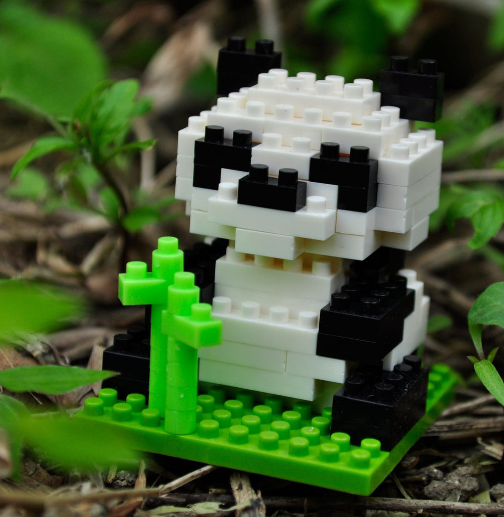 Wisehawk Panda