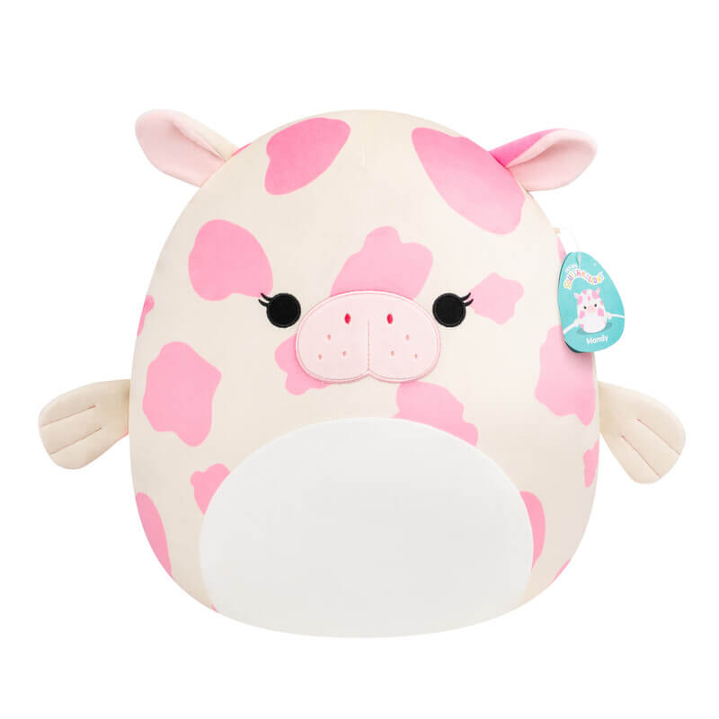 Squishmallow 16Inch S27 Plush Asstd B Each