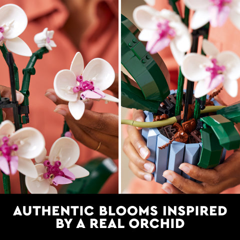 10311 LEGO Creator Orchid