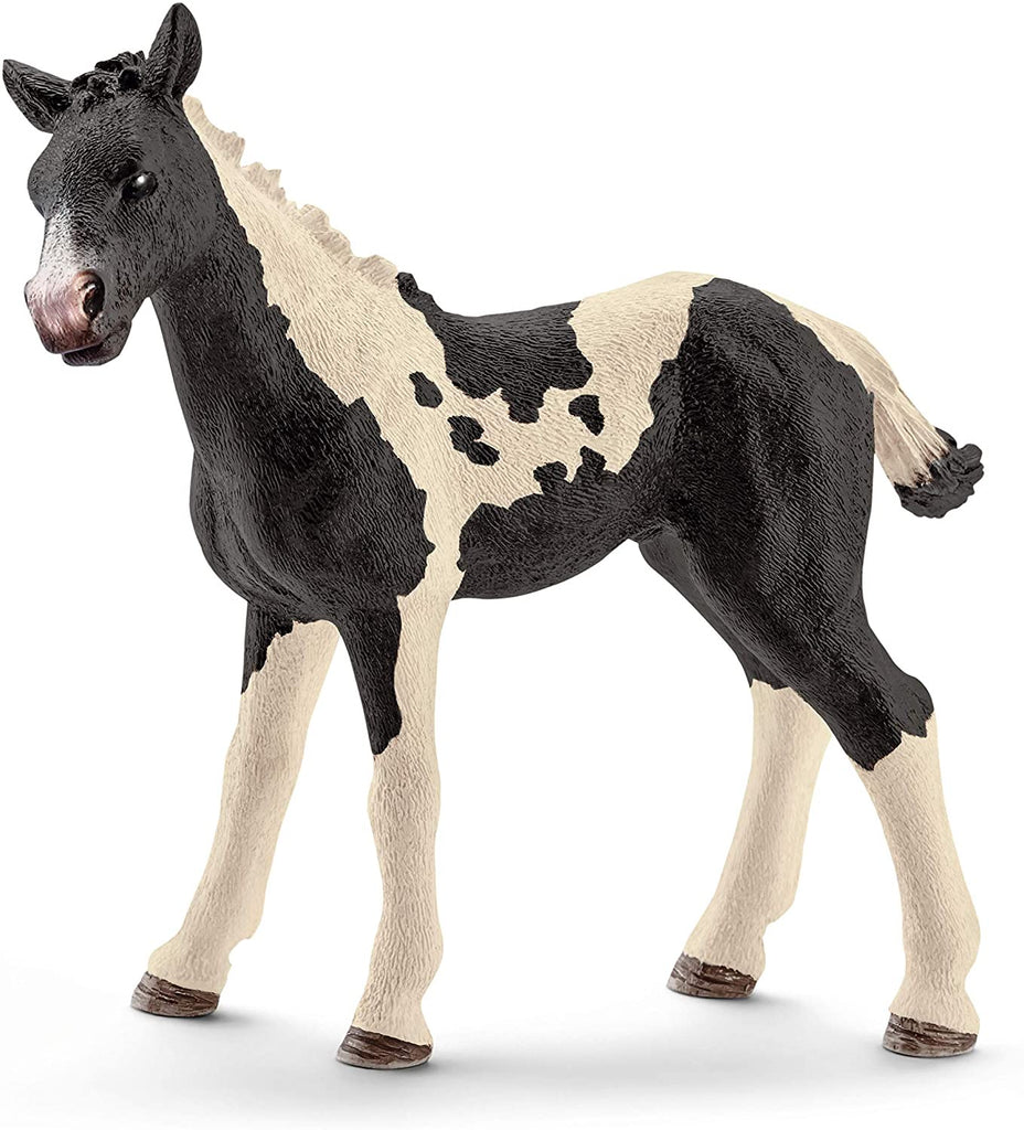 13803 Schleich Pinto Foal