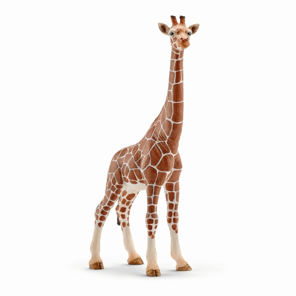 14750 Schleich Giraffe, Female (17.2cm Tall)