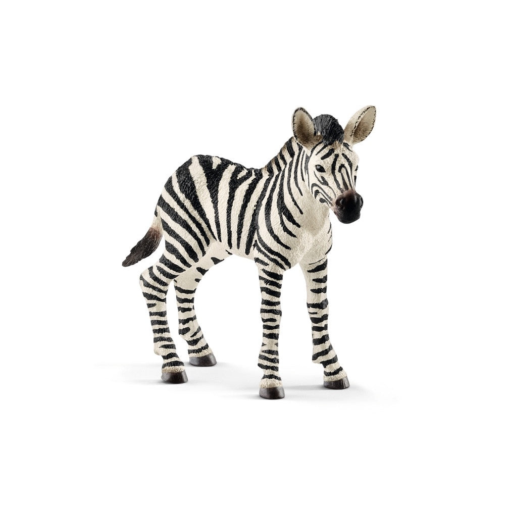 14811 Schleich Zebra Foal (7cm Tall)