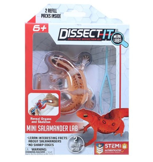 Dissect It Mini Labs - Salamander